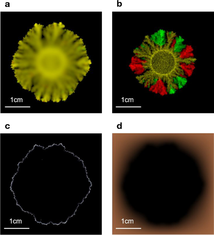 Figure 9.