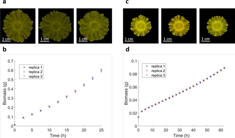 Extended Data Figure 3.