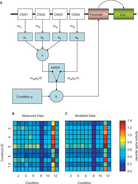 Figure 3.