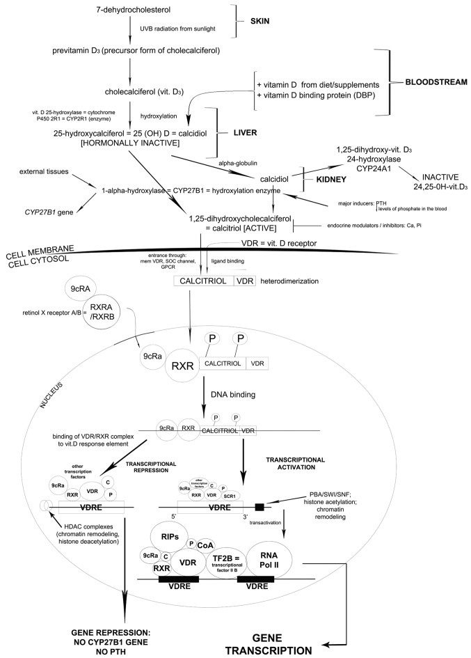 Figure 1.