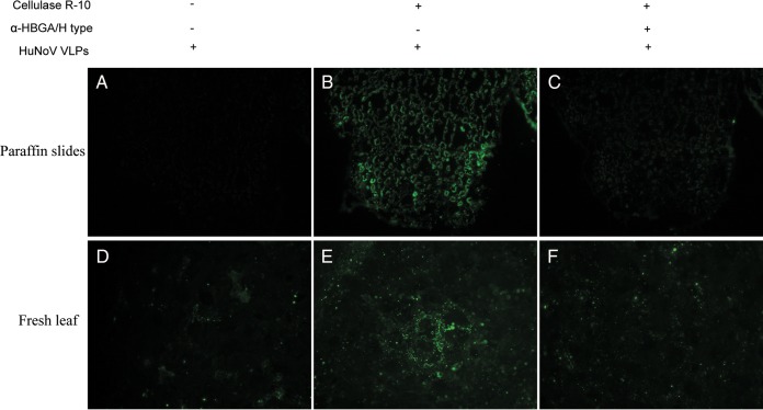 FIG 3