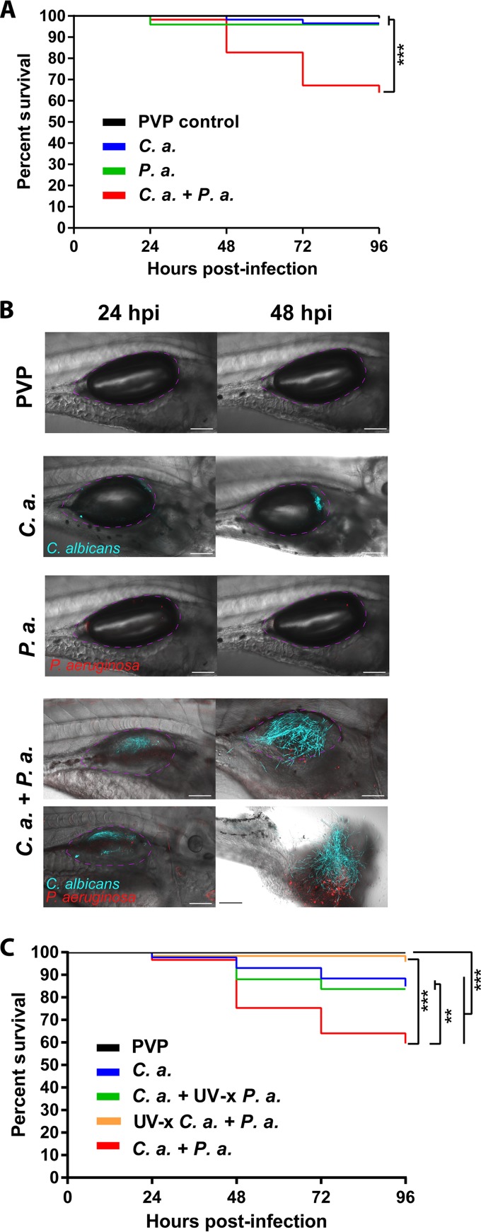 FIG 1