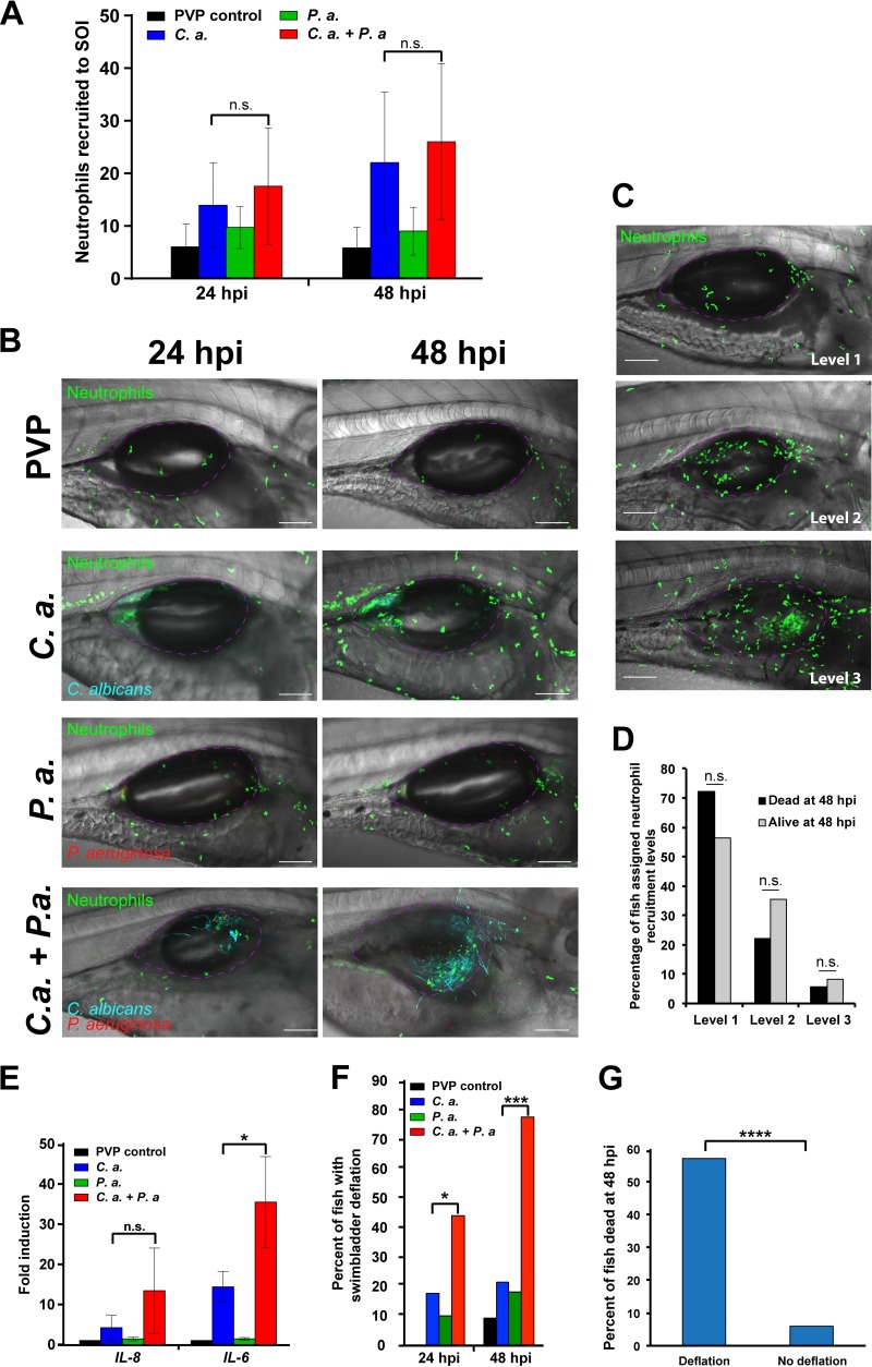 FIG 2