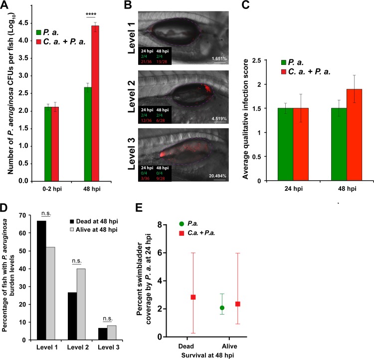 FIG 3