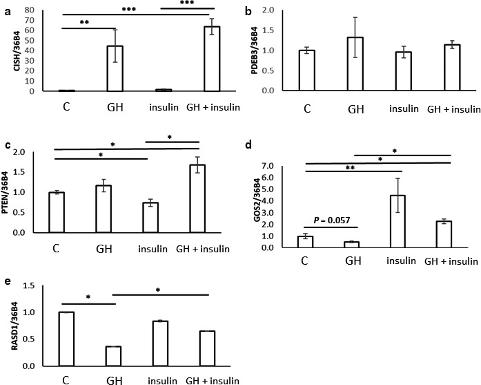 Figure 5