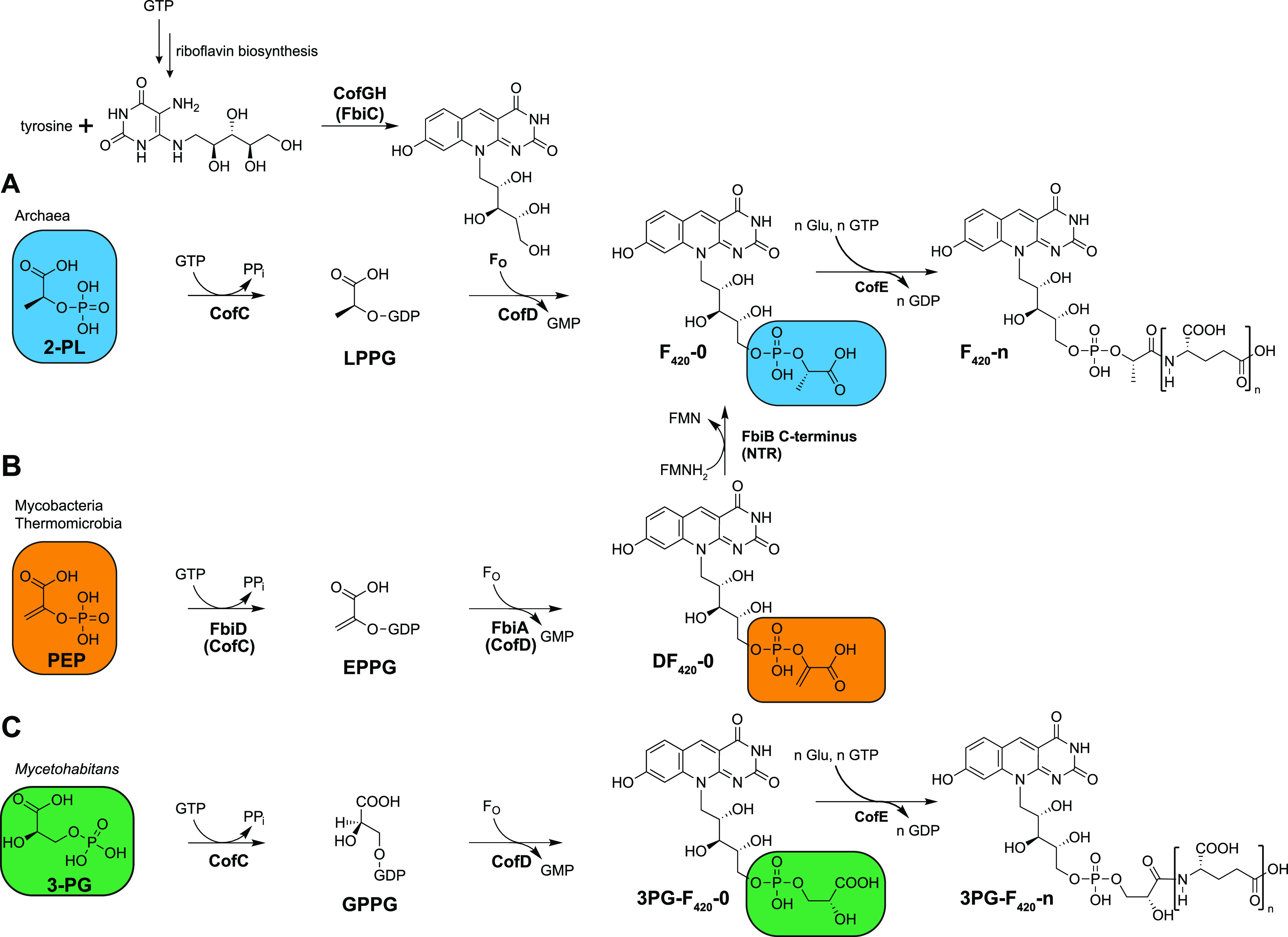 FIG 1