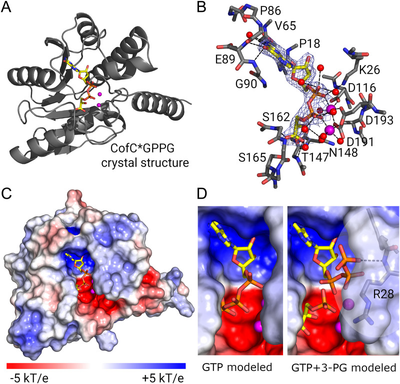 FIG 4