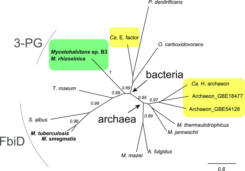 FIG 5