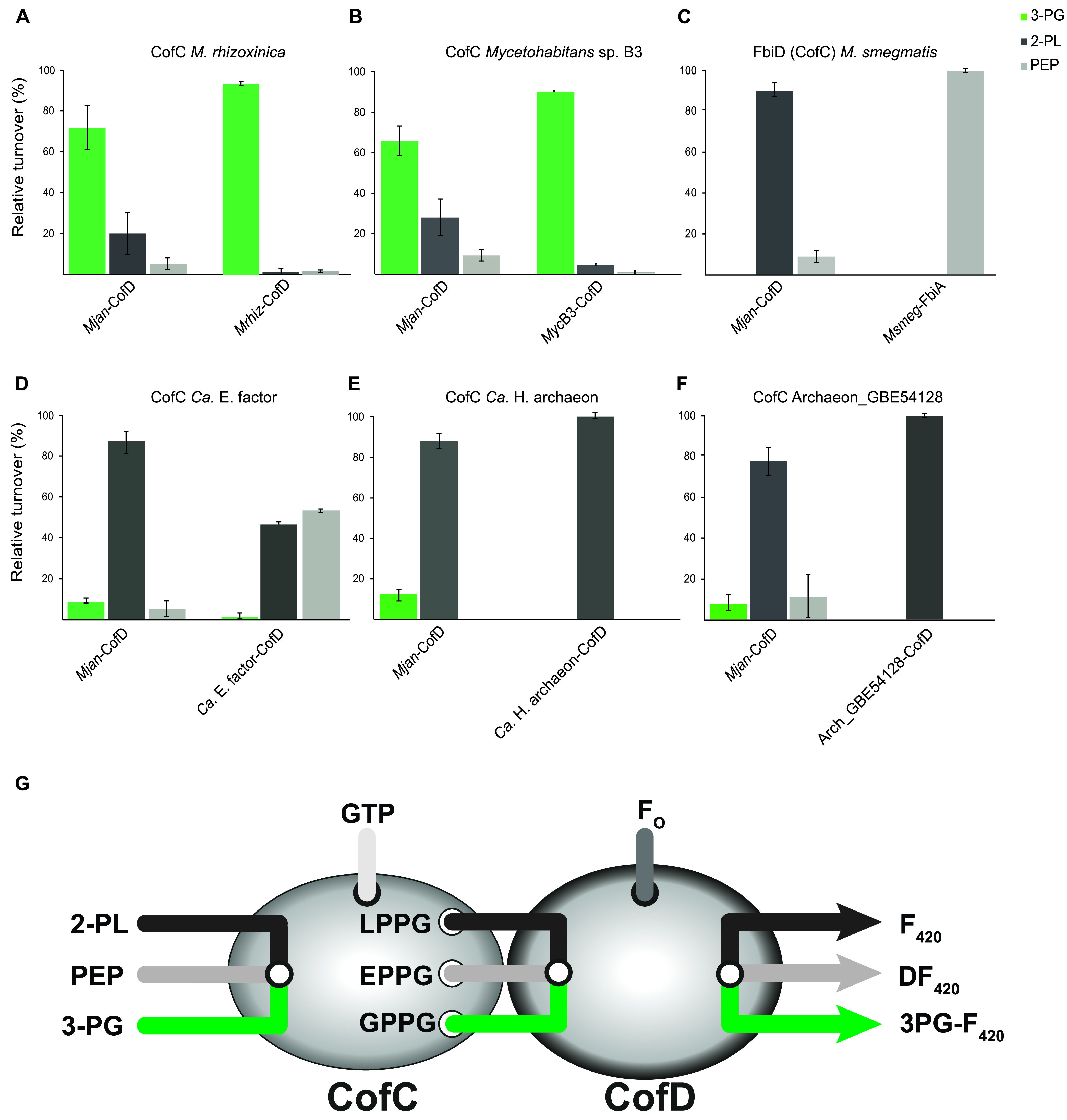 FIG 6