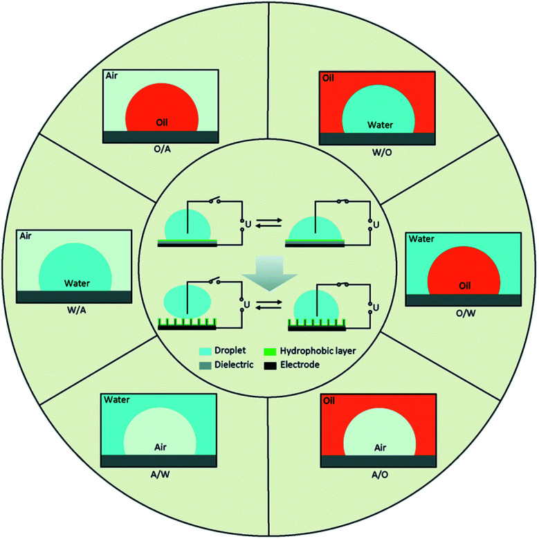 Fig. 1