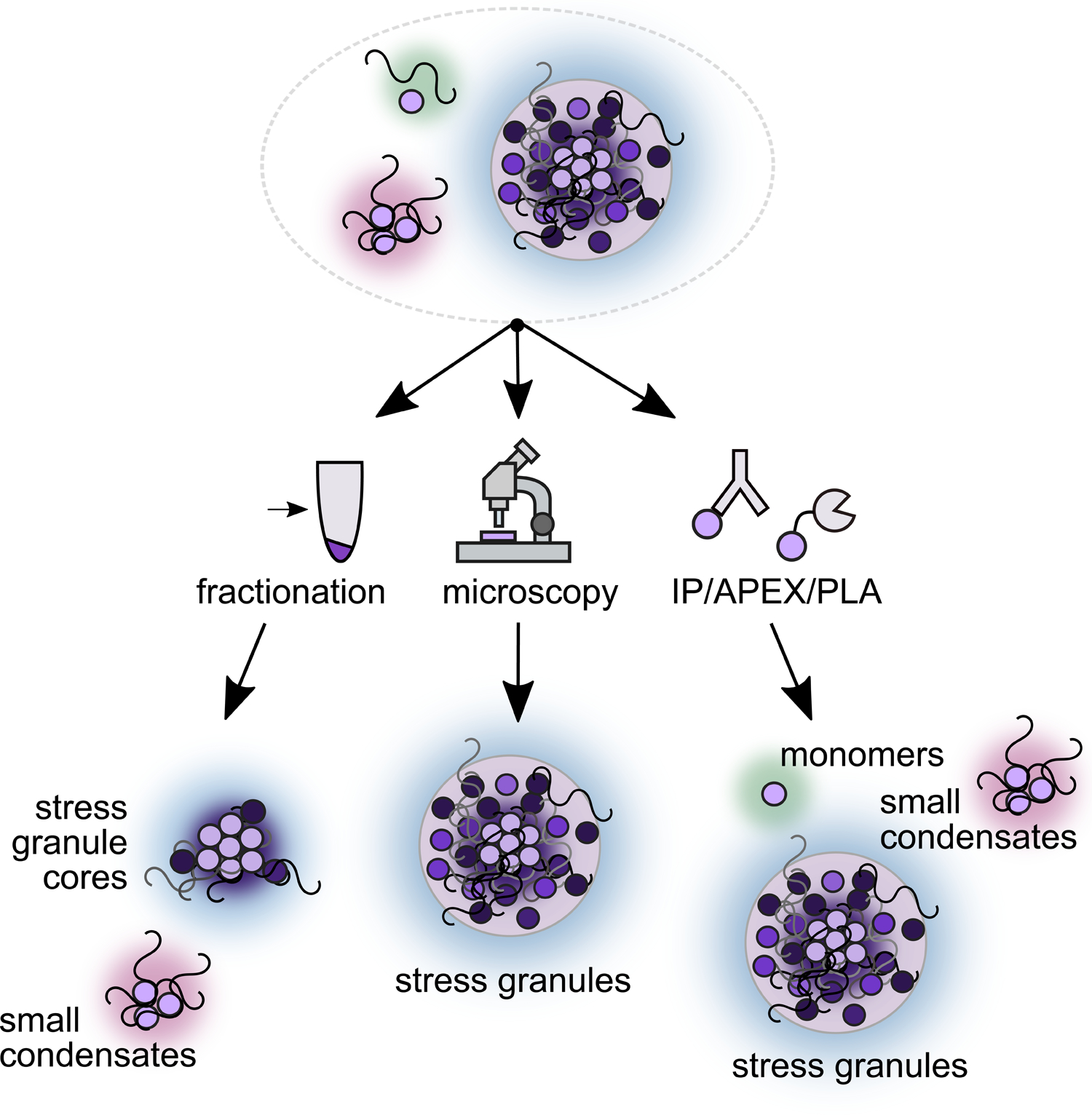 Figure 4: