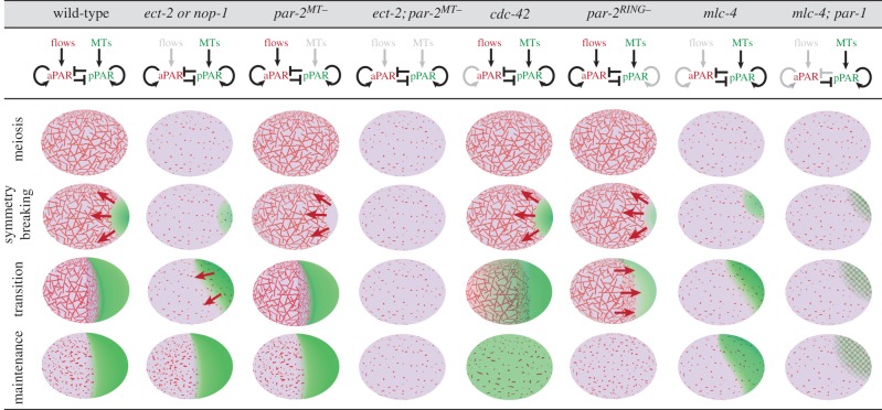 Figure 3.