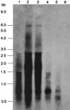 FIG. 8