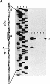 FIG. 7