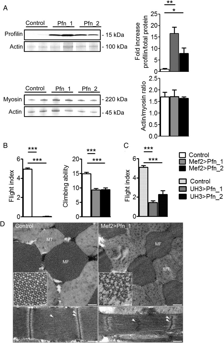 Figure 3