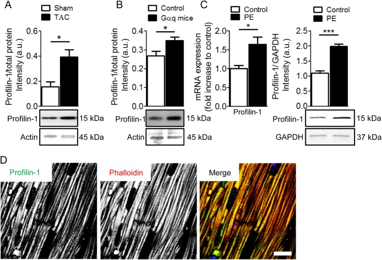 Figure 1