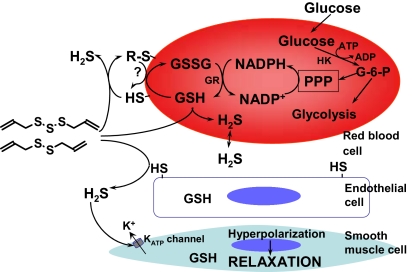 Fig. 4.