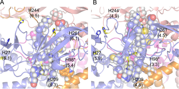 Fig. 7