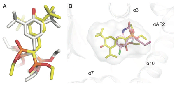 Figure 6.