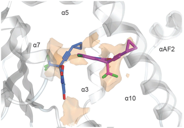 Figure 8: