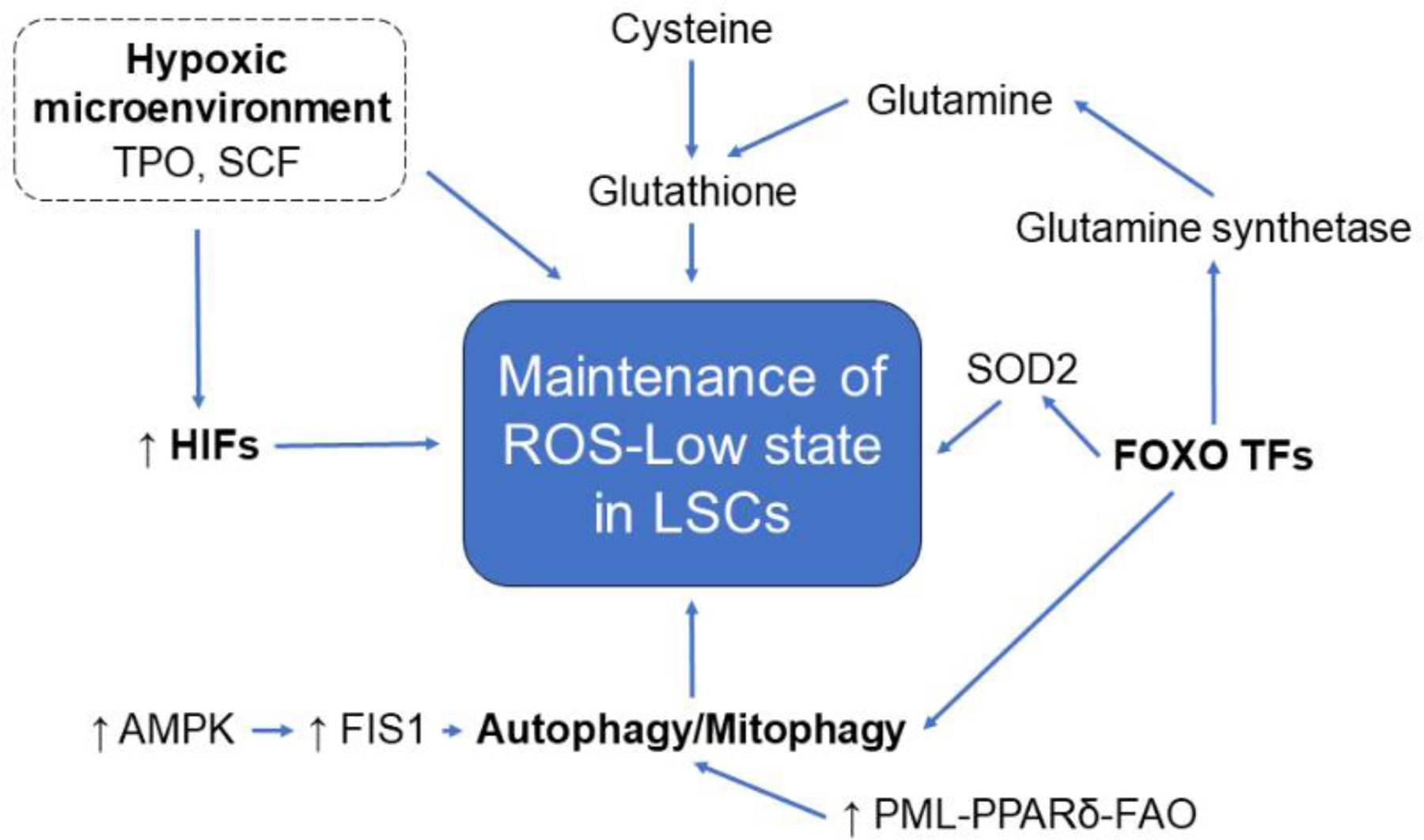 Figure 2: