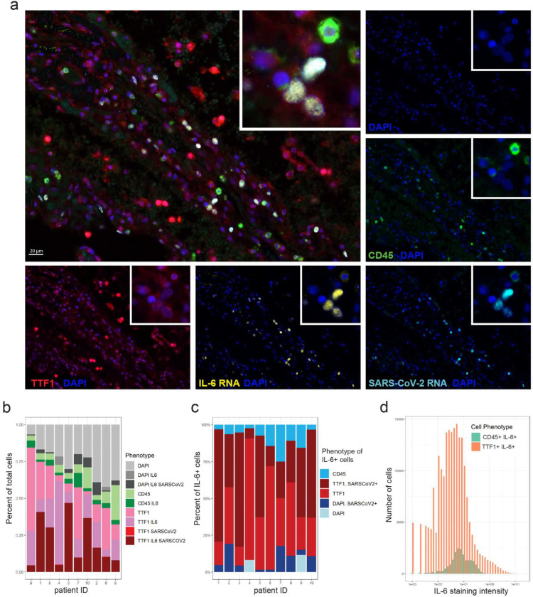 Figure 4: