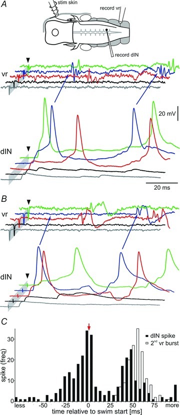 Figure 11