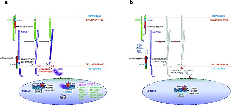 Fig. 10