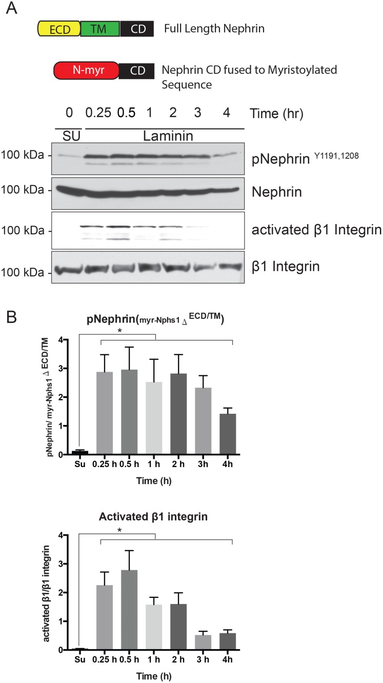 Fig 5