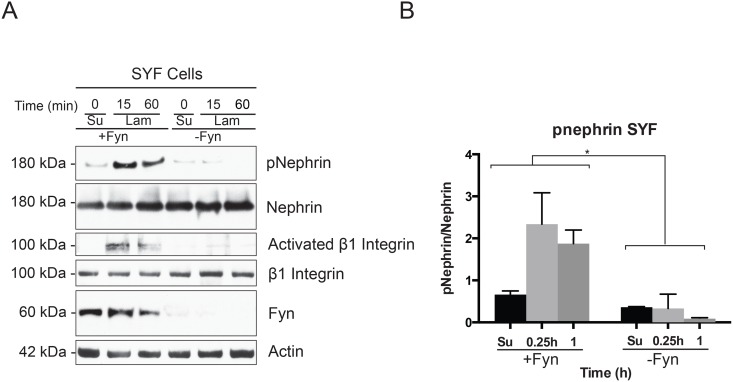 Fig 7