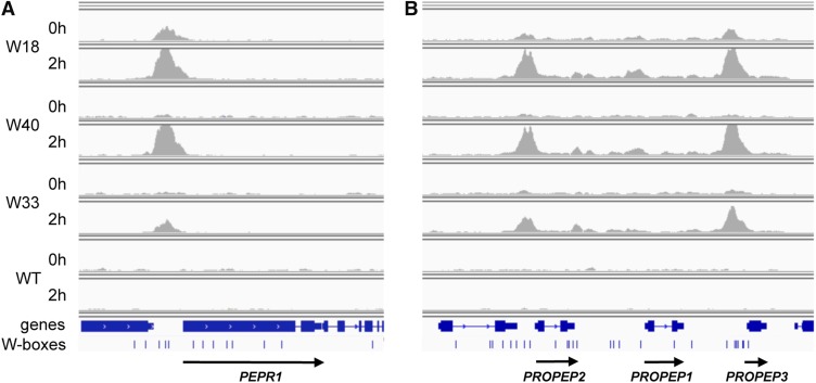 Figure 5.