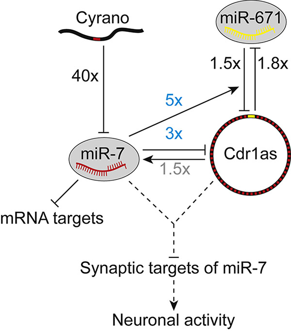 Figure 7.