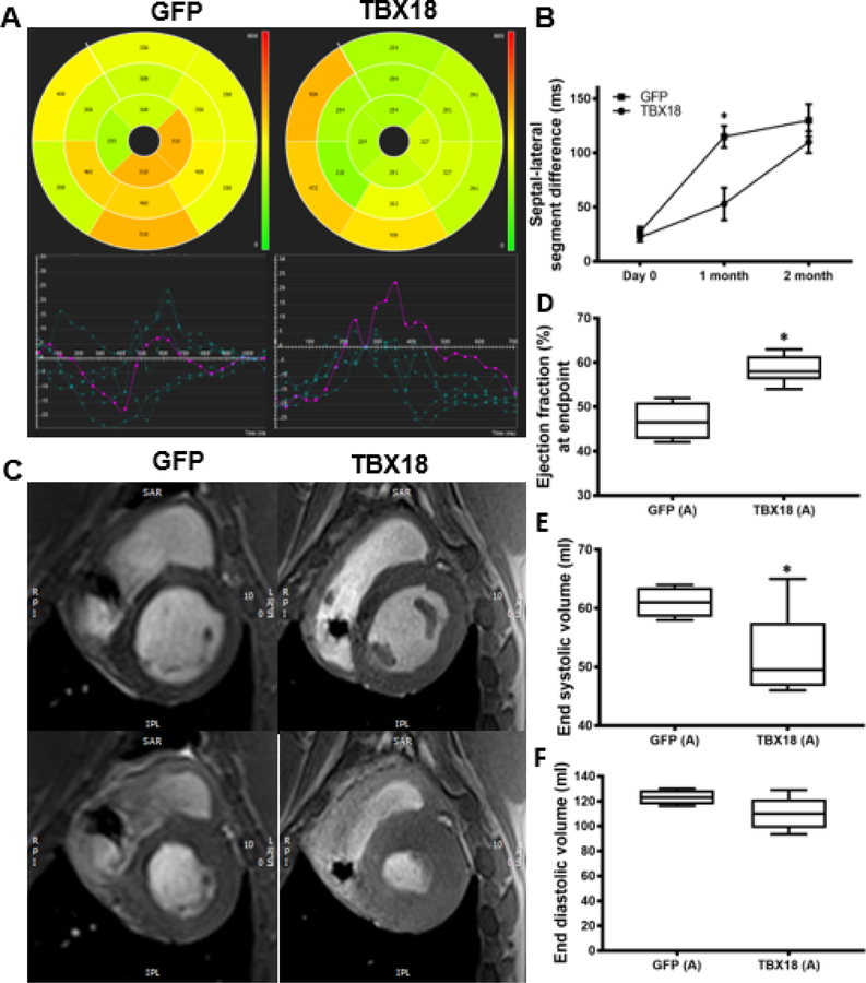 Figure 2: