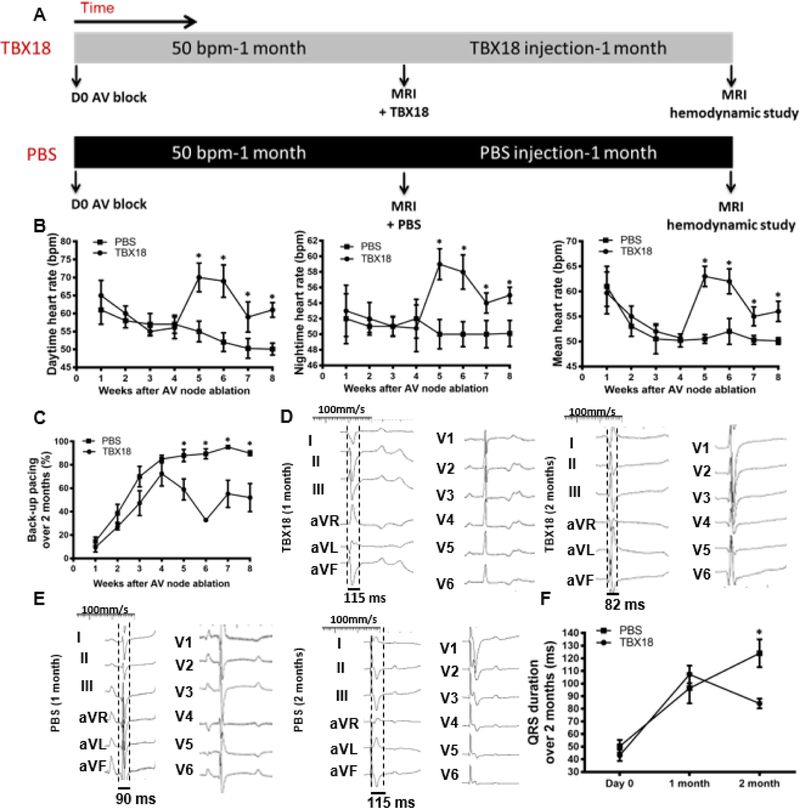 Figure 6: