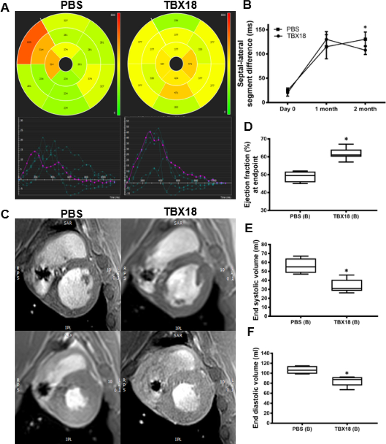 Figure 7: