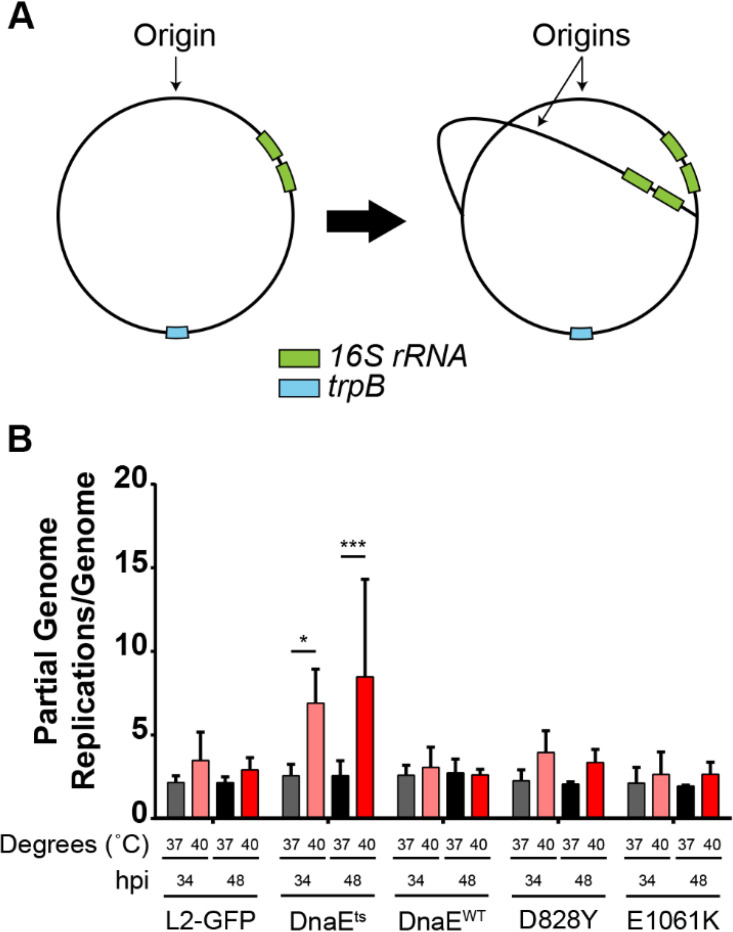 FIG 3