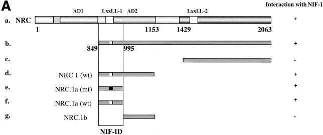 FIG. 6.