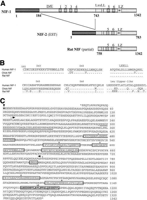 FIG. 1.