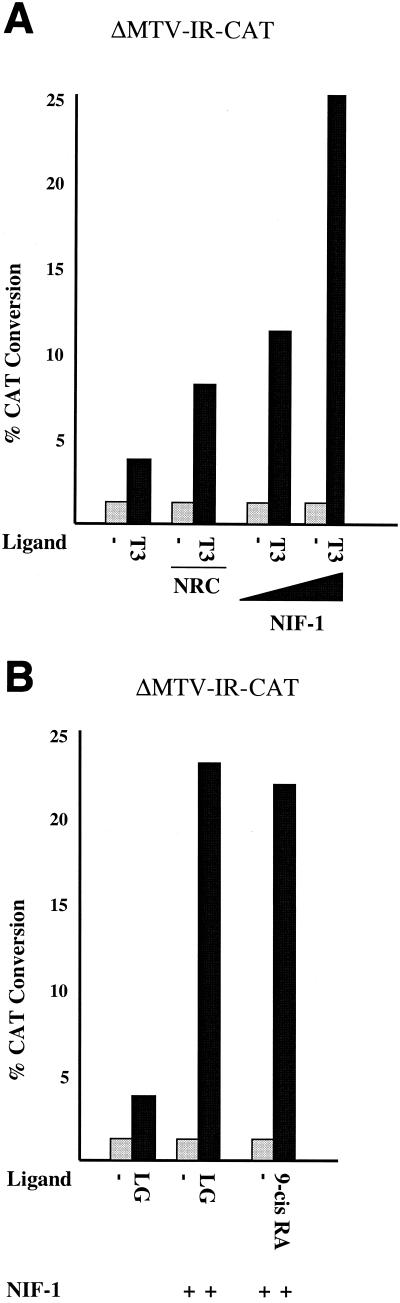 FIG. 10.