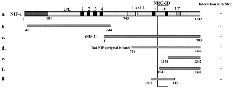 FIG. 5.