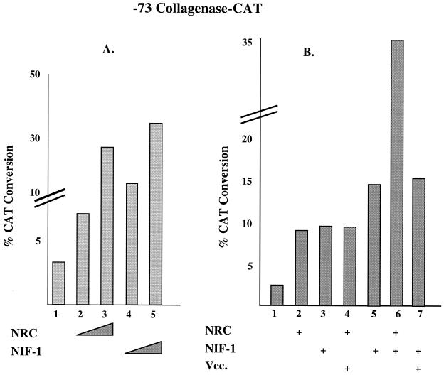 FIG. 11.