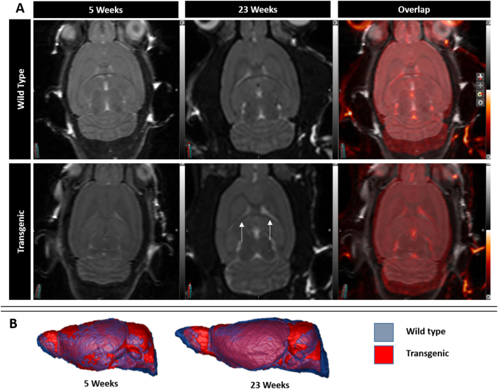 Fig. 3