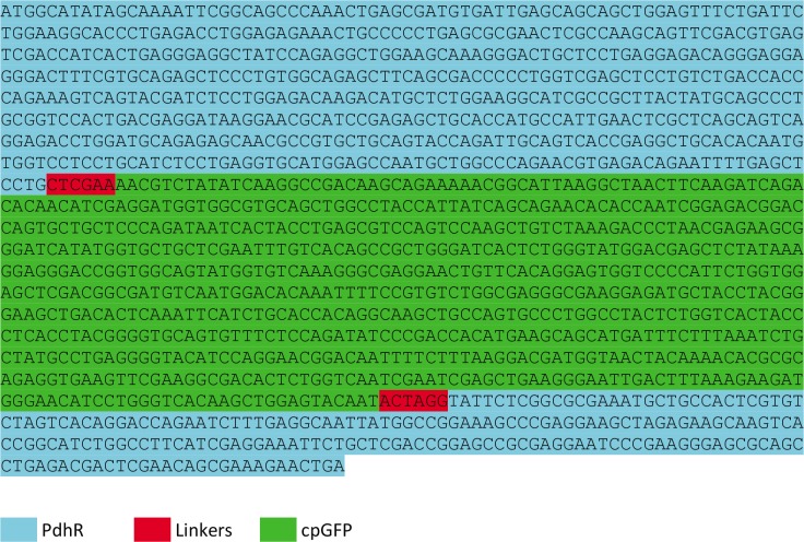 Figure 1—figure supplement 1.