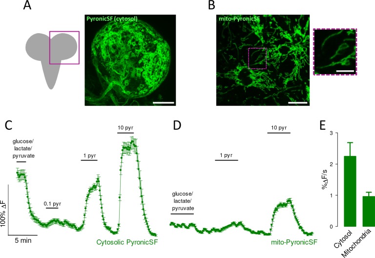 Figure 6.