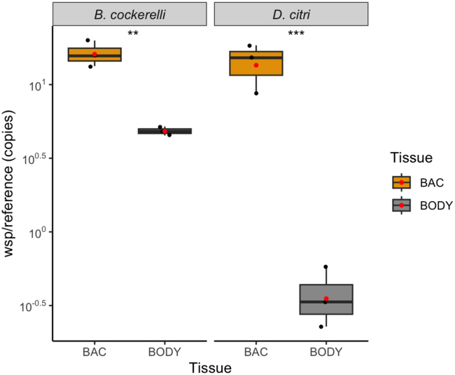 Figure 5