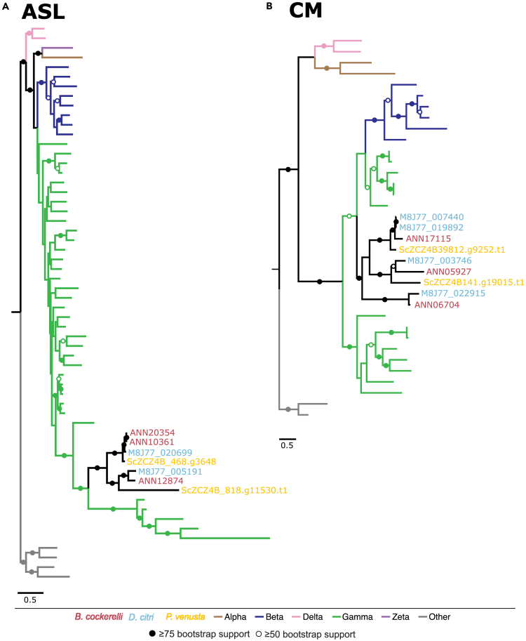 Figure 3