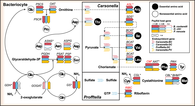 Figure 2