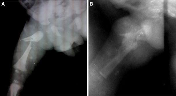 Fig. 1