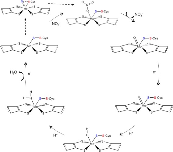 Figure 7