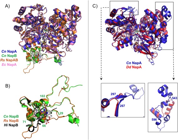 Figure 5